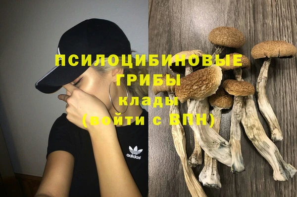 прущие крисы Новодвинск