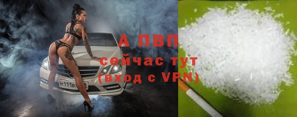 прущие крисы Новодвинск